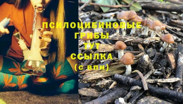 твердый Армянск