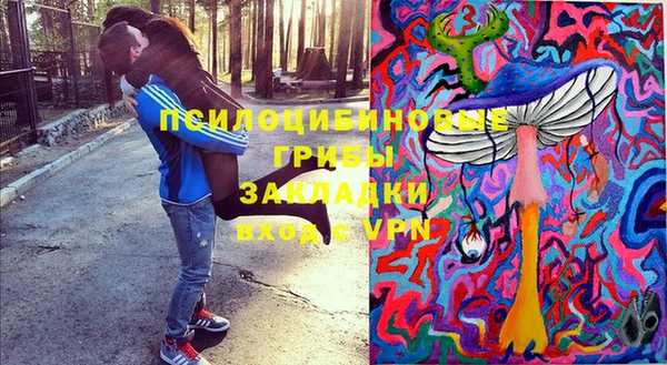 apvp Арсеньев
