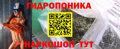 эйфоретик Камень-на-Оби