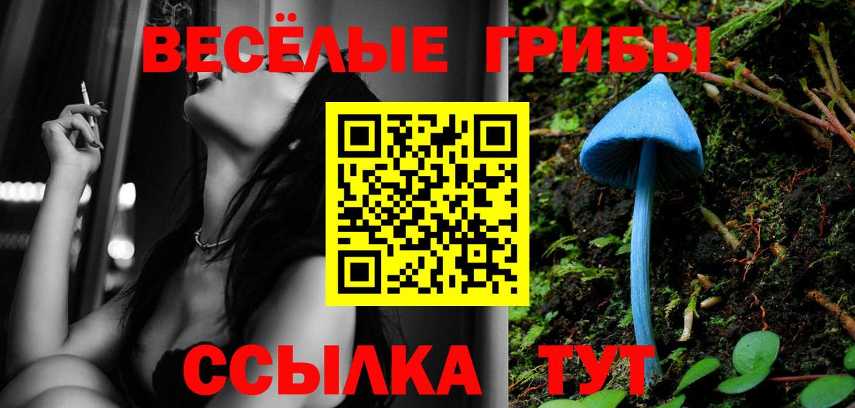 Галлюциногенные грибы Psilocybe  Псилоцибиновые грибы Psilocybe  Краснотурьинск  Вход с VPN 